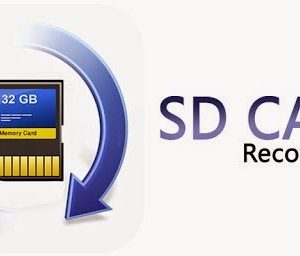 Sd Card Care And Data Recovery-