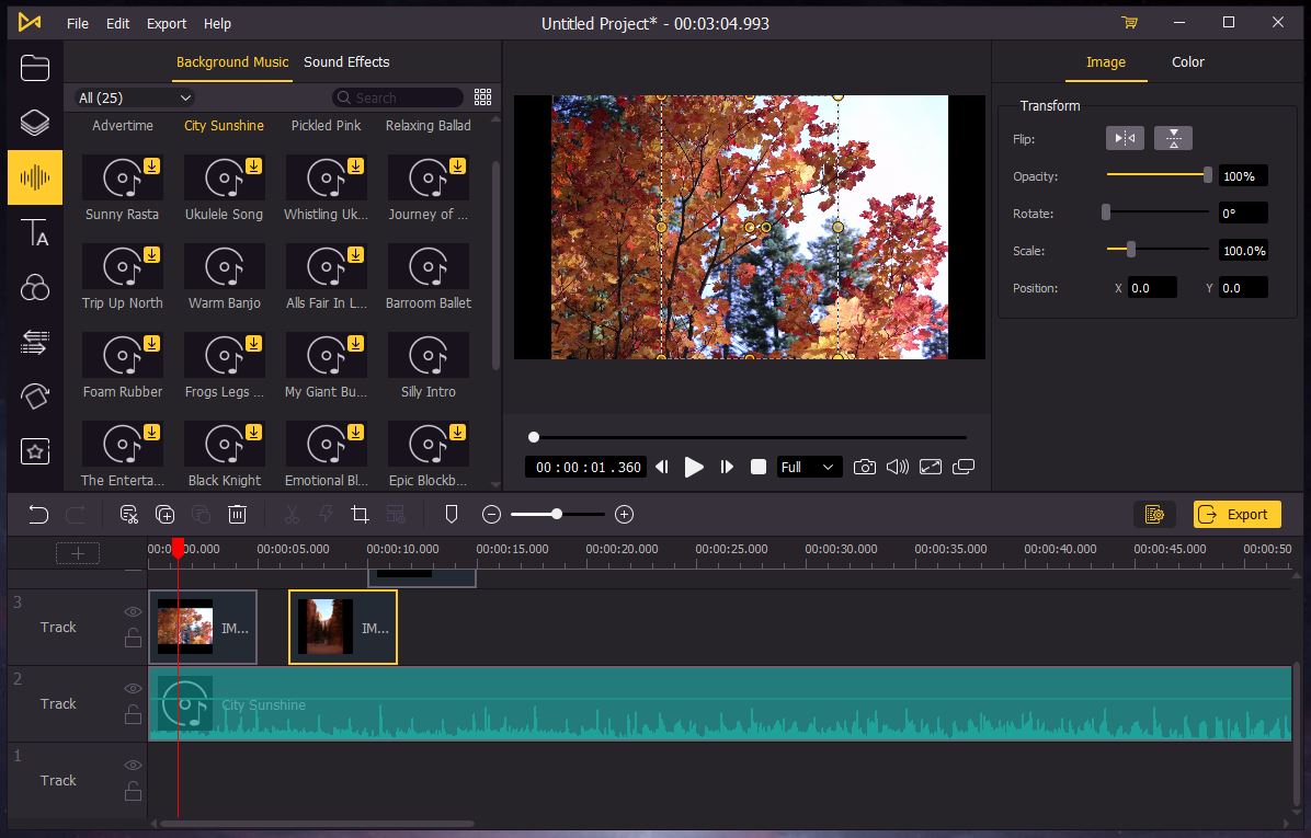 AceMovi Video Editor download the new