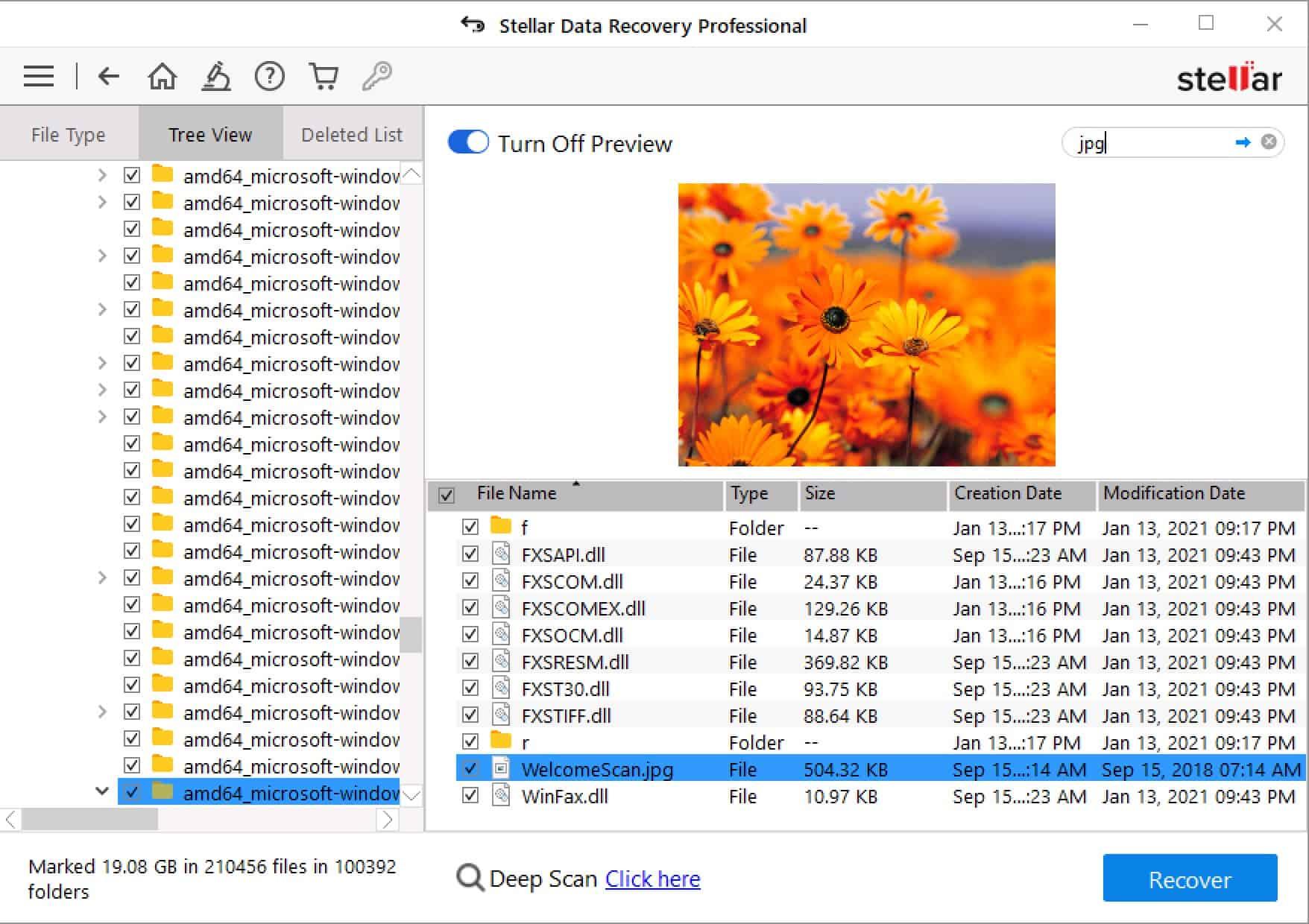 Stellar Data Recovery Windows - Results Preview